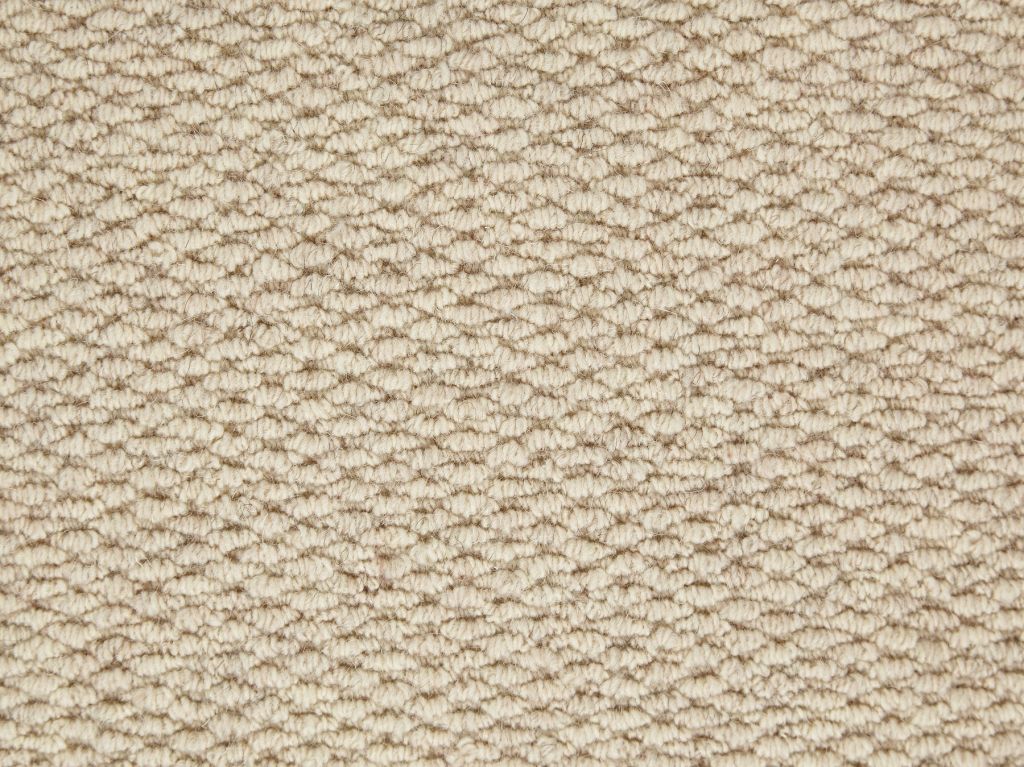 What Is A Loop Pile Carpet Tapi Carpets Floors